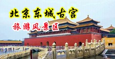 大鸡巴美女视频中国北京-东城古宫旅游风景区